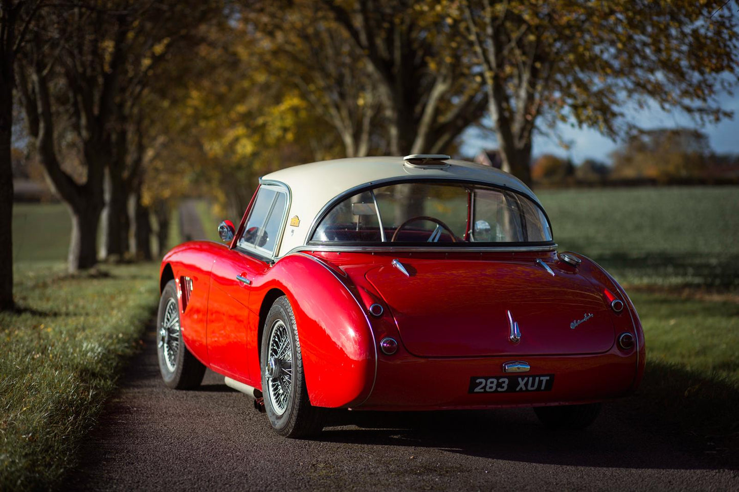 SOLD - 1957 Austin-Healey 100/6