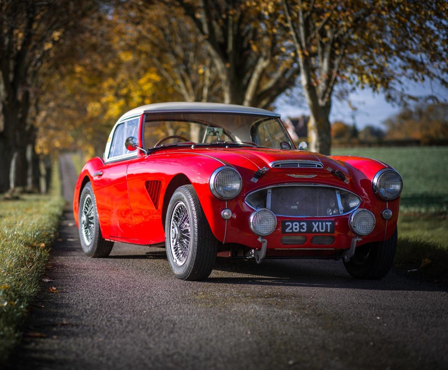 SOLD - 1957 Austin-Healey 100/6