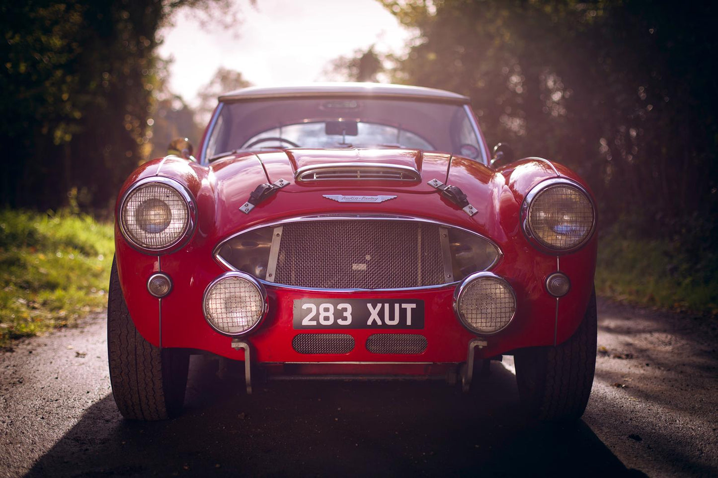 SOLD - 1957 Austin-Healey 100/6